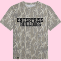 ENTERPRISE